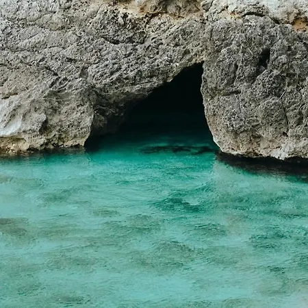 Dario-porto Miggiano